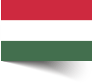 mađarski jezik